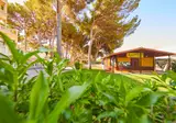 MLL Palma Bay Club Resort foto 2