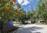 Camping Cevedale foto 4
