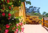 Finca Natura Canaria foto 4