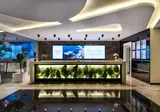 White City Resort foto 51