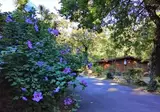 Seven Hills Village foto 13