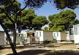 Arena Stoja Campsite foto 15