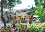 Etruria Camping Village foto 26
