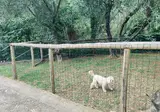 Caravelle Camping Village foto 7