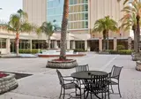 DoubleTree by Hilton at the Entrance to Unive foto 8