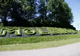 EuroParcs Molengroet foto 4