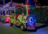Cavallino foto 30