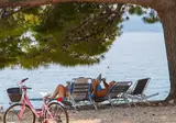 Camping Dole foto 18