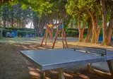 Camping Les Avignon foto 6