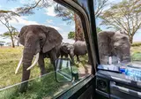 Ontdek Tanzania foto 9
