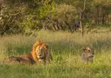 Pragtig Suid-Afrika foto 2