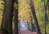 Vakantiepark Schoorlse Duinen foto 6