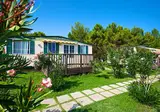 Arena Stupice Campsite foto 9