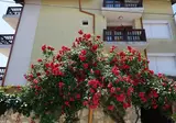 Residenzia Margarita foto 14