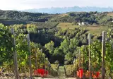 Agriturismo Cantina Bevione foto 4