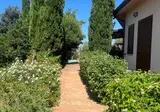 Tenuta Saracone foto 18