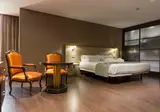 Iberik Santo Domingo Plaza Hotel foto 18