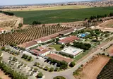 Hotel Rural Vila Gale Alentejo Vineyards foto 14