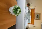 Park Star Hotel foto 3