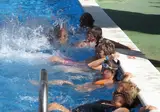 Roca Grossa foto 18