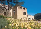 Hotel Rural S'Olivaret foto 2