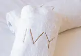 Ivy foto 24