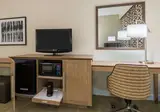 Hampton Inn Bonita Springs/Naples North foto 22