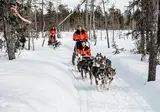 8 daagse excursiereis Lapland Hotel Sirkantähti foto 1