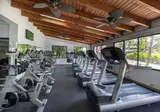 Viva Wyndham Dominicus Palace foto 27