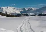 Sunstar Hotel Arosa foto 8