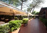 Camping Rubicone foto 20