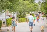 Ametlla foto 26