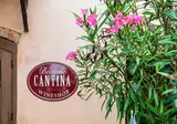 Agriturismo Cantina Bevione foto 18