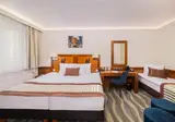 Carlton Hotel Buda Castle foto 7