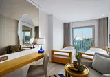 Sidemarin Kirman Premium foto 21