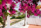 Astron Hotel - Bungalows foto 5