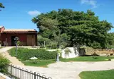 Residence Mediterranea foto 5