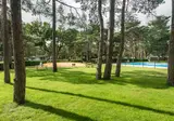Bos Park Bilthoven foto 15