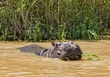 The Ultimate South Africa Experience foto 5