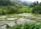 Ontdek Noord-Sumatra en relax op Bali foto 17