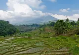 Fascinerend Indonesië foto 15