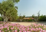 Achilles Hill Hotel foto 16