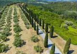 Tenuta Castellare di Tonda foto 3