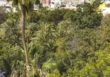 Taburiente foto 29