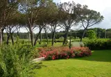 L‘Agriturismo Principe del Trasimeno foto 5