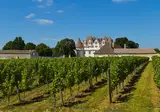 Dordogne, wijn en Bordeaux foto 6