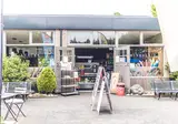 Veluwepark De Bosgraaf foto 4