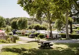 Flower Camping Le Conleau foto 12