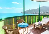 Kaktus Albir foto 8