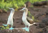 Beautiful Ecuador and Galapagos foto 5